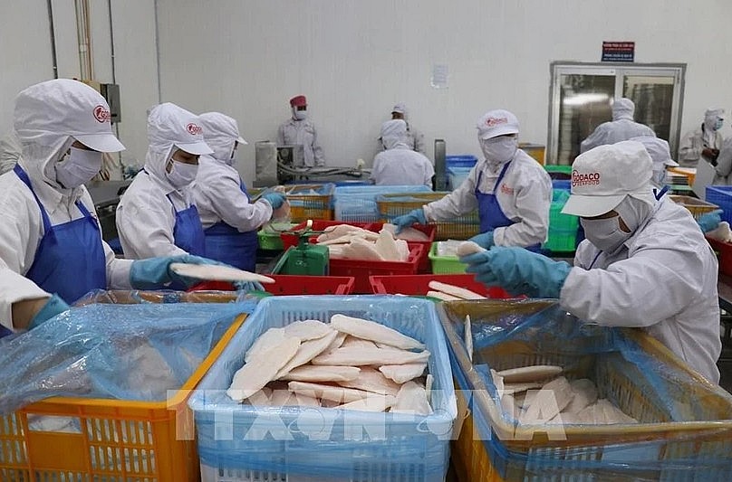 Vietnam’s fishery sector diversifies export markets and products amid global trade challenges