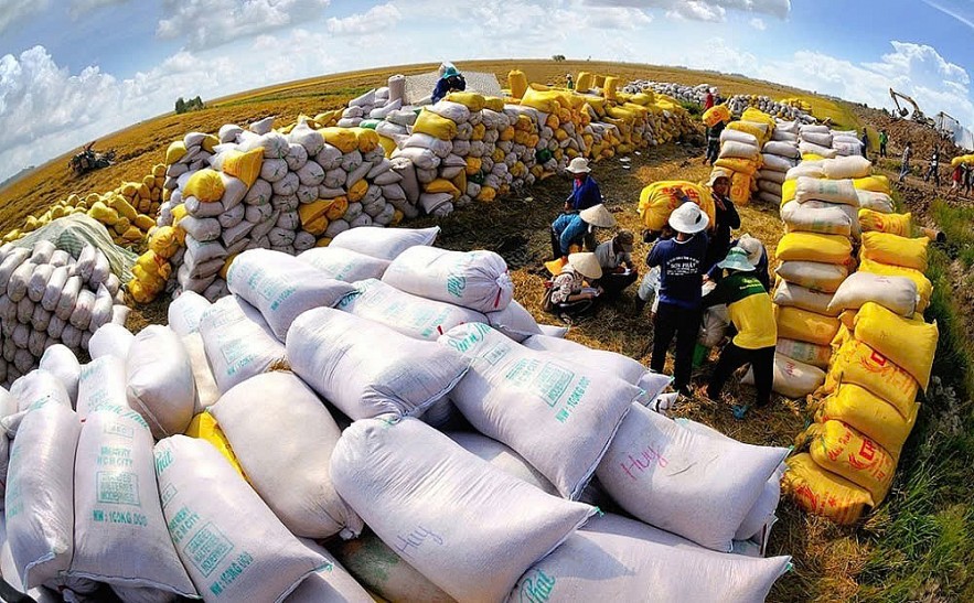 Gạo Việt duy trì đà tăng trưởng xuất khẩu nhờ đáp ứng nhu cầu thị trường