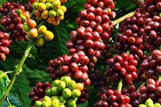 Việt Nam - Thái Lan: Động lực kinh tế từ quan hệ chiến lược toàn diện