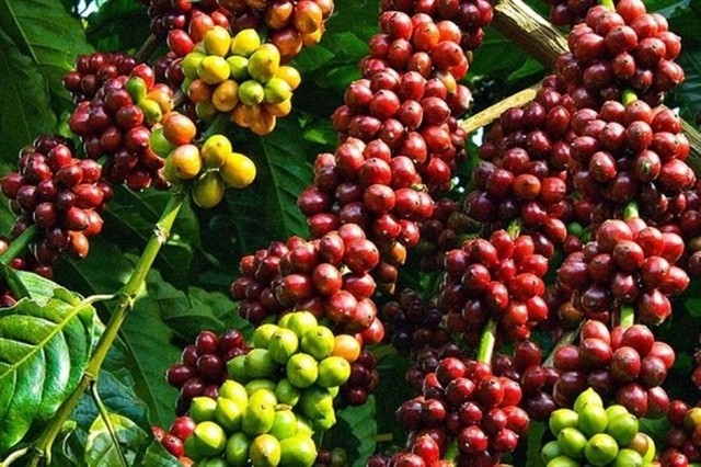 Việt Nam - Thái Lan: Động lực kinh tế từ quan hệ chiến lược toàn diện Việt Nam - Thái Lan: Động lực kinh tế từ quan hệ chiến lược toàn diện