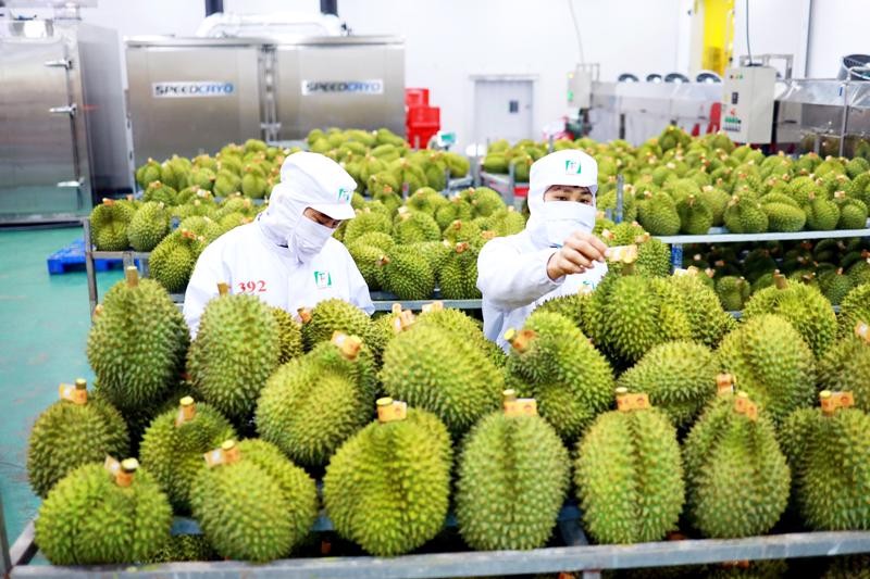 Việt Nam - Tổng cục Hải quan Trung Quốc: Thiết lập cơ chế “luồng xanh nông sản”, ưu tiên thông quan nhanh