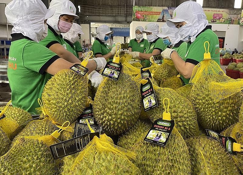 Hải quan ưu tiên xuất khẩu nông lâm thuỷ sản, đặc biệt sầu riêng