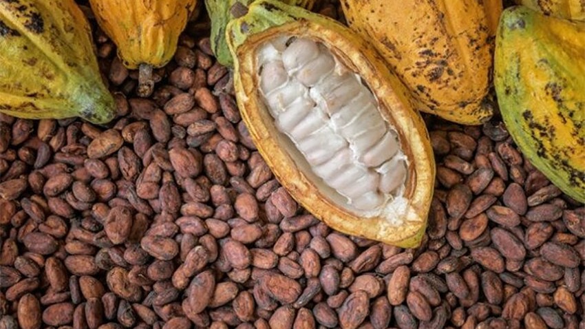 Thị trường hàng hóa: Sắc đỏ tiếp tục chiếm ưu thế suốt toàn phiên giao dịch