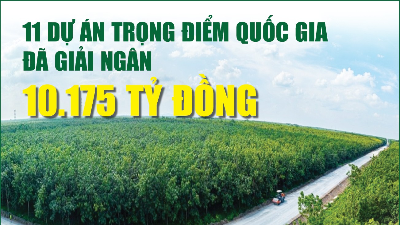 Infographics: 11 dự án trọng điểm quốc gia đã giải ngân 10.175 tỷ đồng