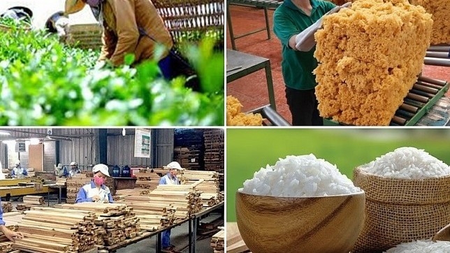 5 tháng, Việt Nam thu về hơn 28 tỷ USD từ xuất khẩu nông, lâm, thủy sản