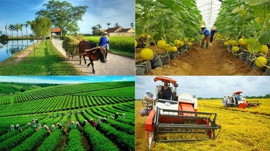 Chương trình mục tiêu quốc gia: Bài toán giải ngân vẫn là điểm nghẽn lớn nhất