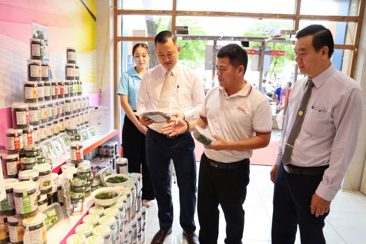Ninh Thuận: Đẩy mạnh kinh tế nông sản và du lịch trước thềm sáp nhập