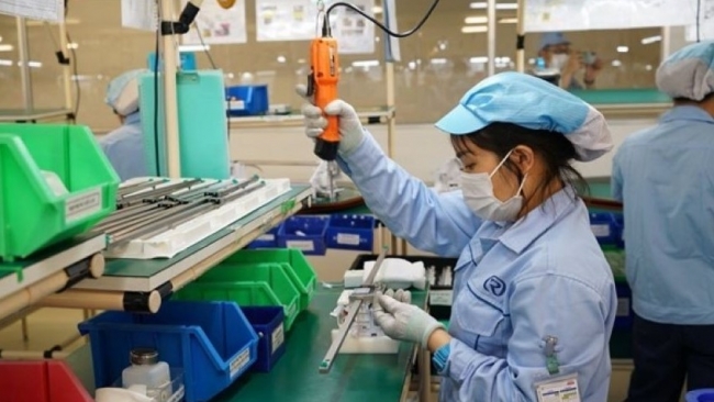 Tăng cường chế tài xử lý với hành vi chậm đóng và trốn đóng bảo hiểm xã hội