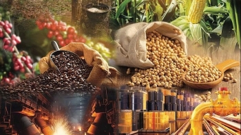 Thị trường hàng hóa: Nhóm năng lượng là điểm sáng trên thị trường