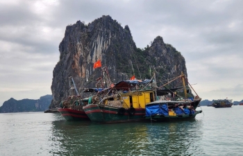 Quảng Ninh đẩy mạnh kiểm tra, chống khai thác thủy sản bất hợp pháp IUU