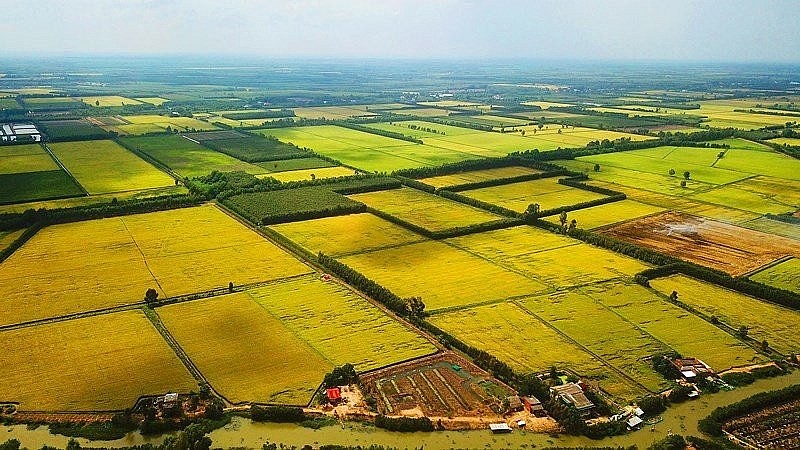 Chi cục Thuế khu vực có trách nhiệm báo cáo việc miễn, giảm thuế sử dụng đất nông nghiệp
