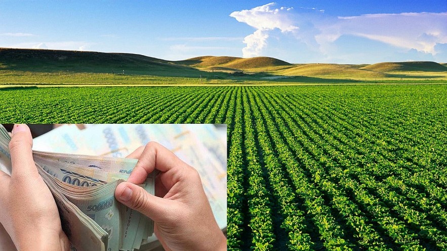 Kết quả đăng ký thuế của doanh nghiệp được xử lý, trả bằng phương thức điện tử