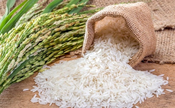 Cập nhật giá lúa gạo hôm nay 15/6/2025 mới nhất