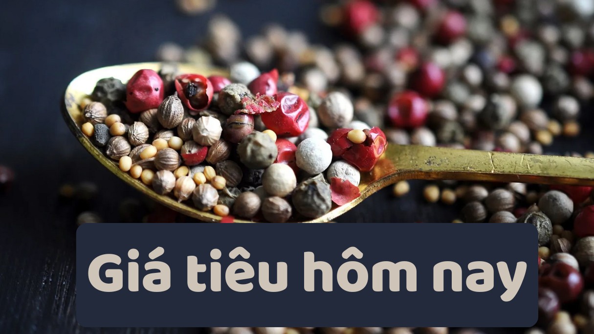 Ngày 23/6: Giá cà phê mất mốc 100.000 đồng/kg, hồ tiêu xuống mức thấp nhất trong 1 năm qua