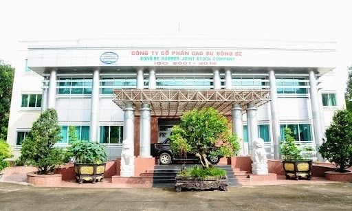 Cao su Sông Bé bị xử phạt do công bố thông tin sai lệch về lợi nhuận