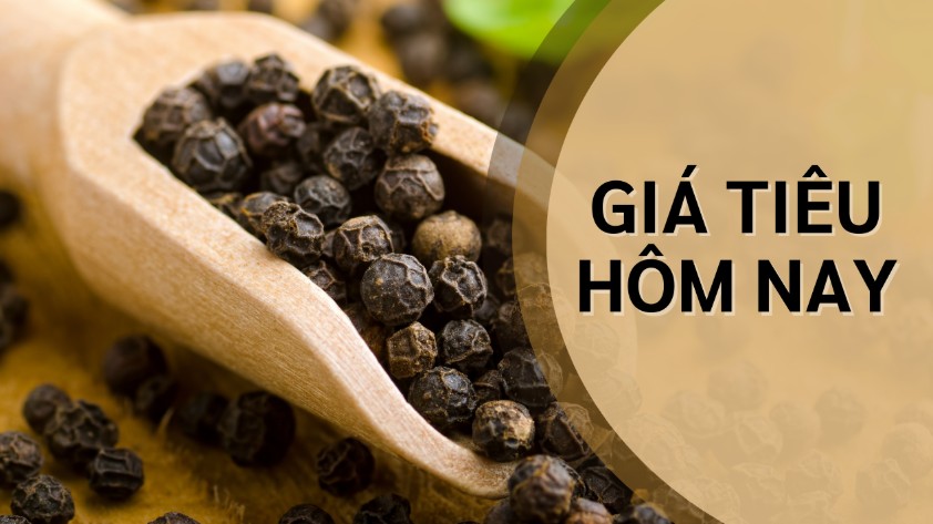 Ngày 26/6: Giá tiêu tăng trở lại, cà phê giảm mạnh