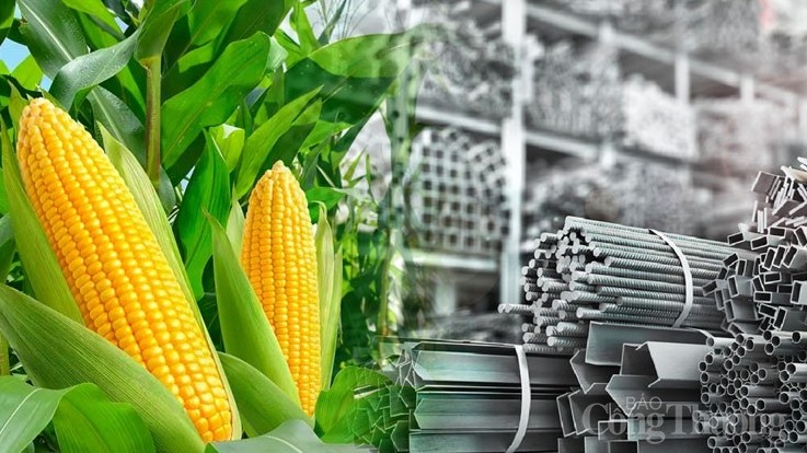 Thị trường hàng hóa: Nhóm nông sản đã trải qua phiên giao dịch đỏ lửa