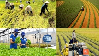 Hướng dẫn mới về thuế sử dụng đất nông nghiệp