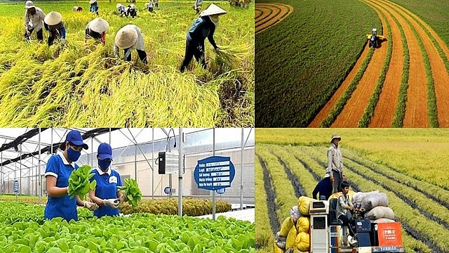 Hướng dẫn mới về thuế sử dụng đất nông nghiệp