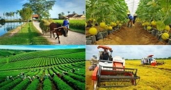 Gỡ khó trong Tổng điều tra nông thôn, nông nghiệp năm 2025 trong bối cảnh thực hiện sắp xếp địa giới hành chính