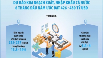 Dự báo xuất siêu hàng hóa đạt 4 tỷ USD trong nửa đầu năm 2025