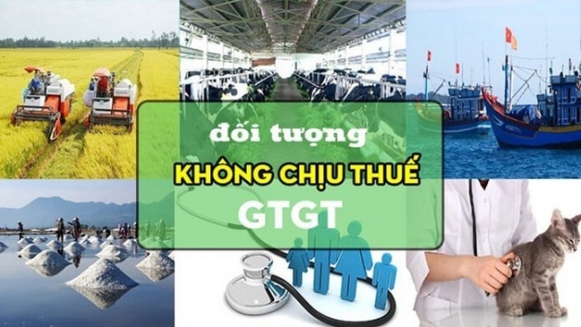 Chính phủ quy định 16 đối tượng không chịu thuế theo Luật Thuế giá trị gia tăng