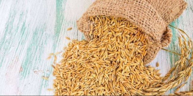 Ngày 5/7: Giá gạo bình ổn, giá lúa tươi tiếp tục xu hướng tăng