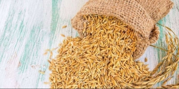 Ngày 5/7: Giá gạo bình ổn, giá lúa tươi tiếp tục xu hướng tăng