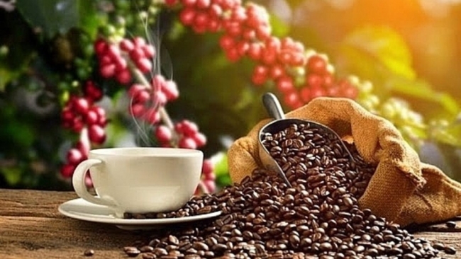 Ngày 7/7: Giá cà phê lấy lại đà tăng sau hai tháng giảm sâu, hồ tiêu neo cao