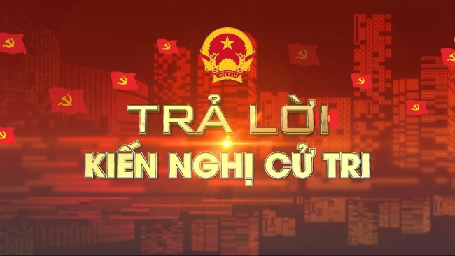 Đơn vị sự nghiệp công lập tổ chức mua sắm tài sản công theo pháp luật về đấu thầu