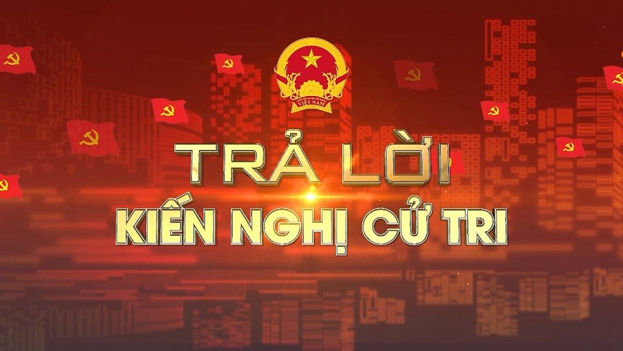 Đơn vị sự nghiệp công lập tổ chức mua sắm tài sản công theo pháp luật về đấu thầu