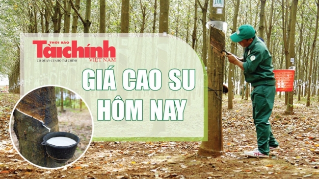 Ngày 8/7: Giá cao su trên các sàn giao dịch chủ chốt đồng loạt tăng