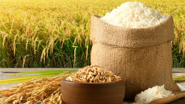 Ngày 8/7: Giá lúa gạo tại Đồng bằng sông Cửu Long biến động trái chiều