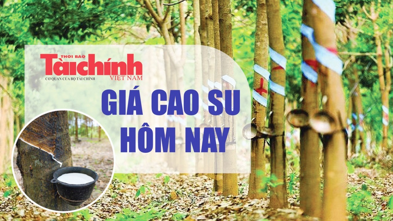 Ngày 17/7: Giá cao su trên các sàn giao dịch biến động không đồng nhất