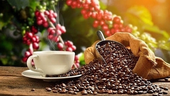 Ngày 22/7: Giá cà phê thế giới giảm mạnh, hồ tiêu neo ở mức cao