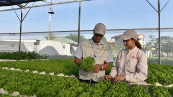 Không bỏ lỡ cơ hội vàng thúc đẩy kinh tế tuần hoàn