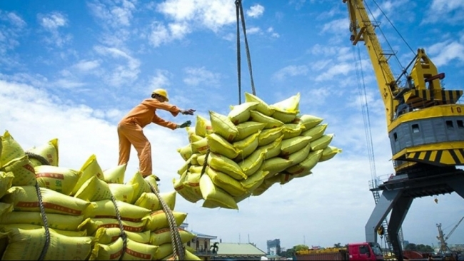 Ngày 24/7: Giá gạo xuất khẩu tăng, gạo trong nước và lúa tươi ổn định