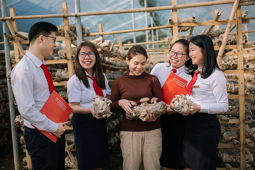 Agribank tích cực hỗ trợ hộ kinh doanh chuyển đổi thành doanh nghiệp