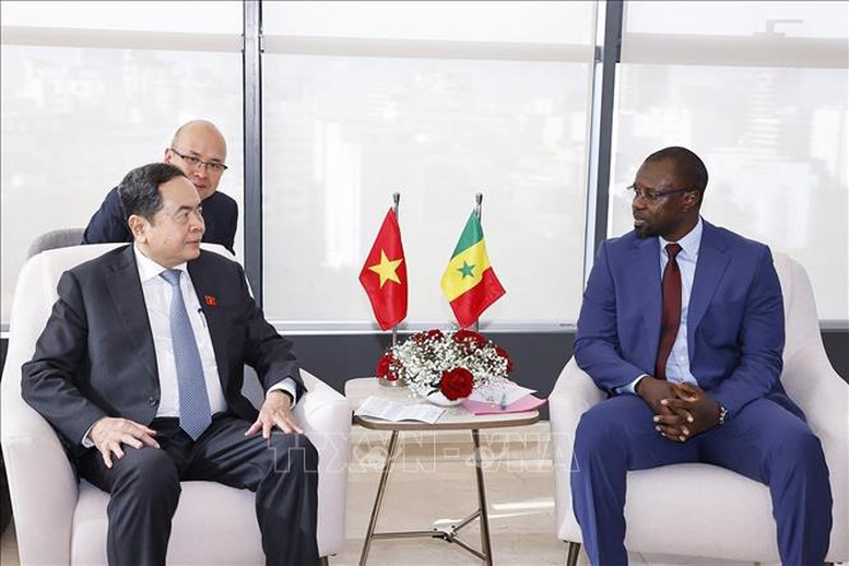 Hợp tác với Việt Nam trở thành trọng tâm chính sách hợp tác Nam - Nam của Senegal- Ảnh 2.