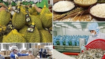 Xuất khẩu nông lâm thủy sản xuất siêu gần 10 tỷ USD