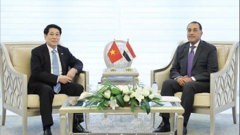 Nhất trí đẩy mạnh hợp tác kinh tế Việt Nam - Ai Cập theo hướng bền vững, cùng có lợi