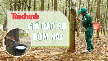 Ngày 6/8: Giá cao su tại Nhật Bản tăng mạnh, Trung Quốc và Thái Lam giảm
