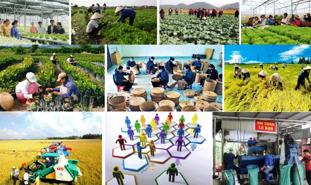Chủ động, sáng tạo tham mưu chính sách đột phá phát triển kinh tế tư nhân trong thời kỳ mới