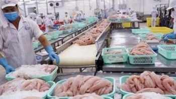 Xuất khẩu nông, lâm, thủy sản chủ động thích ứng với chính sách thuế quan của Hoa Kỳ
