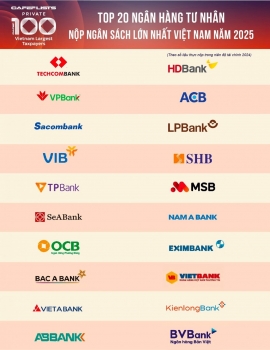 Top 20 ngân hàng tư nhân nộp ngân sách lớn nhất Việt Nam