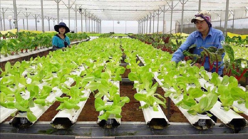Kinh tế tuần hoàn - Nền tảng cho tăng trưởng bền vững trong kỷ nguyên mới