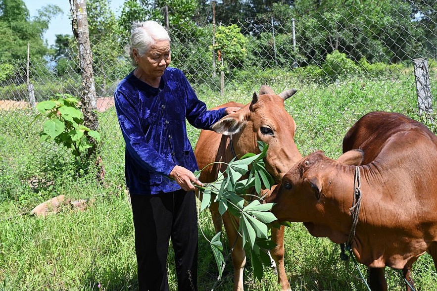 Hà Tĩnh: Tiếp tục triển khai phong trào thi đua “chung tay vì người nghèo"