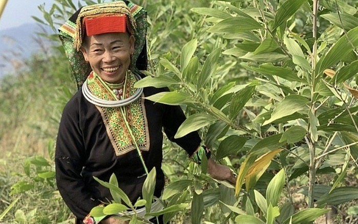 Hội Phụ nữ Lạng Sơn giúp hội viên phát triển sản xuất, giảm nghèo bền vững