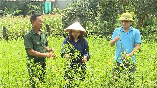 Tuyên Quang: Giảm nghèo bền vững là nhiệm vụ trọng tâm