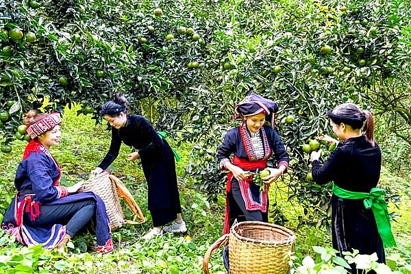Tuyên Quang những dấu ấn giảm nghèo bền vững